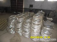 Sell staunless steel wire