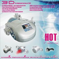 3D cryolipolysis vacuum cavitation RF weight loss equipment