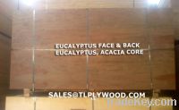 Sell WBP plywood