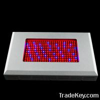 Sell New Spectrums 120W LED Grow Lights (MVA-GR300W