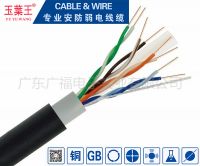 Cat5e/Cat6 Outdoor Cable