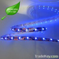 Waterproof 3528 60p smd led strip for outdoor lighting