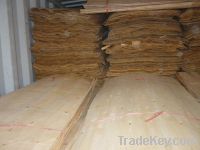 Sell Eucalyptus core veneer