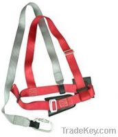 Sell Harness with chest straps EPI-11004