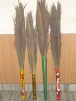 raw material of grass broom