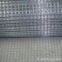 Sell Stainless Steel & Galvanized Welded Wire Mesh