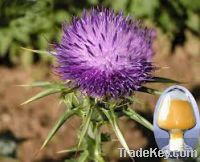 Sell milk thistle extract