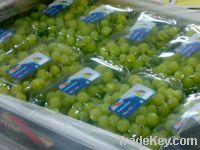 Sell Fresh Grapes