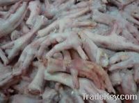  Export Chicken Paw | Chicken Feet Suppliers | Poultry Feet Exporters | Chicken Feets Traders | Processed Chicken Paw Buyers | Frozen Poultry Paw Wholesalers | Low Price Freeze Chicken Paw | Best Buy Chicken Paw | Buy Chicken Paw | Import Chicken Paw | Ch