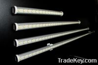 Sell CCFL lighting T8 & T5