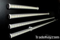 Sell LED T8 & T5 lighting