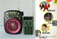 Loud Portable Voice Amplifier Caller with FM Radio and 20W Output Powe