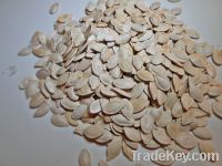 Pumpkin seeds