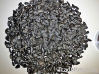 Sunflower seeds Black