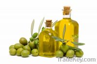 OLIVES OIL