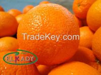 Fresh Valencia Orange