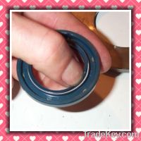 OIL SEALS