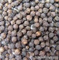 Sell Black Pepper Seeds