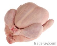 Sell Halal Frozen whole Chicken