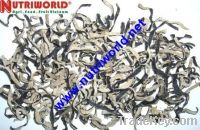 Sell DRIED BLACK FUNGUS SLICED