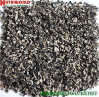 Sell BLACK FUNGUS SCRAP