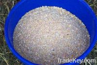 chicken feed for Sell