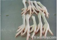 Export Chicken Paw | Chicken Feet Suppliers | Poultry Feet Exporters | Chicken Feets Traders | Processed Chicken Paw Buyers | Frozen Poultry Paw Wholesalers | Low Price Freeze Chicken Paw | Best Buy Chicken Paw | Buy Chicken Paw | Import Chicken Paw | Chi