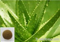Sell Aloes Plant Extract