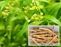 Sell Achyranthis Extract