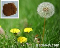 Sell Dandelion Root Extract