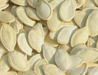 Sell Pumpkin Seed Extract
