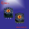 dip switch,rotary dip switch,rotary thumbwheel switch