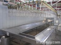 Sell slaughtering machine for poultry
