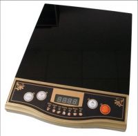 Sell fashion style Induction cooker