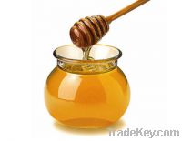 Sell offer ukrainian natural honey