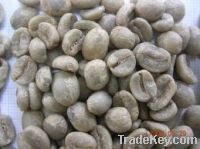 Export Coffee Beans | Arabica Coffee Beans Suppliers | Robusta Coffee Beans Exporters | Coffee Bean Traders | Wholesale Coffee Beans | Buy Coffee Beans | Bulk Coffee Bean | Green Coffee Bean Buyer | Low Price Roasted Coffee Bean | Import Coffee Bean | Cof