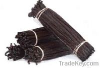 Vanilla beans