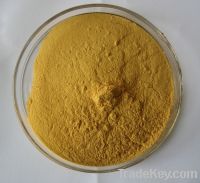 Ginkgo Biloba leaf Extract