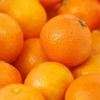 Premium fresh oranges or Fresh citrus fruits for export, ready to load to any destination