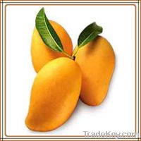 Sell mango offer