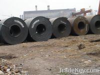 Sell hot rolled coil, galvanized coil/ plate/ strip