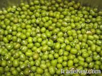 Sell  Mung Beans