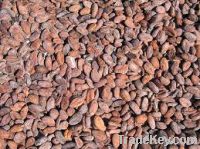 Sell Cocoa Beans