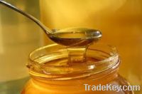 Sell Honey Syrup