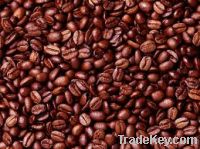 Sell Arabica Coffee Beans