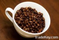 Sell Java Coffee Beans