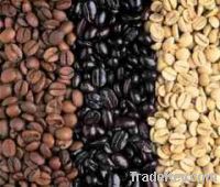Sell Liberica Coffee Beans