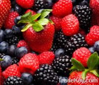 Sell Fresh Berries