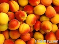 Sell Fresh Peaches