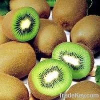 Sell Fresh Kiwi Fruit